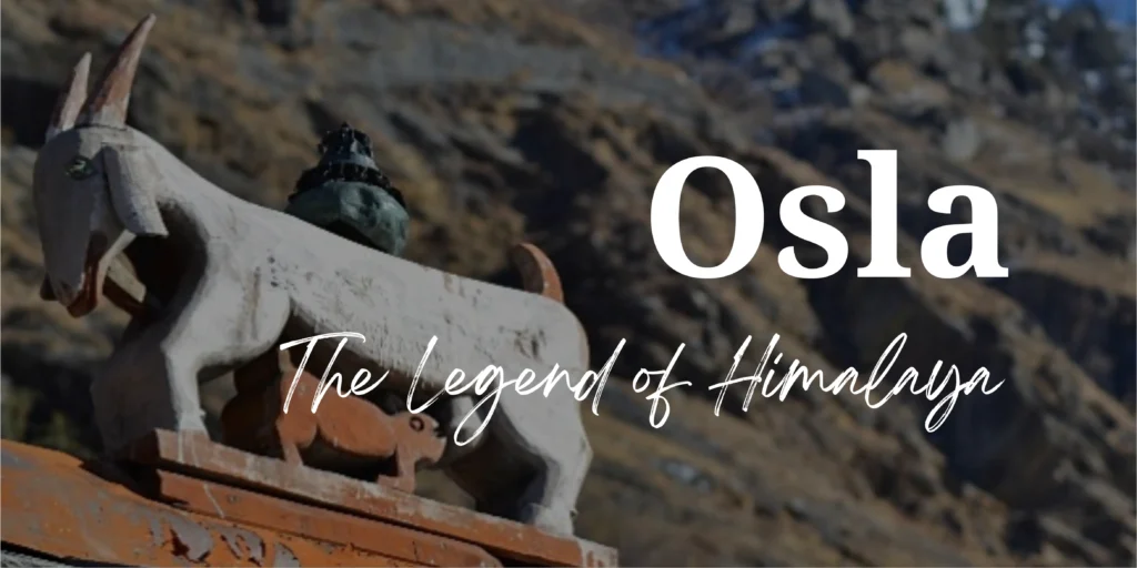 Osla the legend of Himalaya